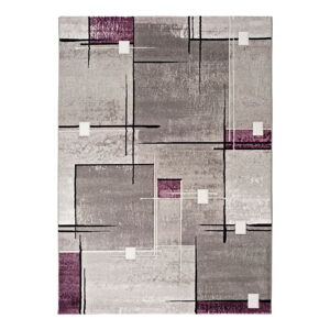 Sivofialový koberec Universal Detroit, 200 × 290 cm