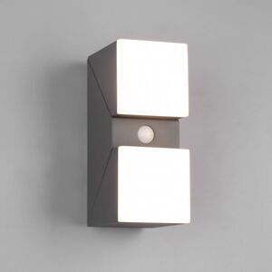 Vonkajšie nástenné svietidlo LED Avon, dvojsvetelné, senzorové
