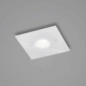 Helestra Nomi stropné LED svetlo 23x23cm dim biela