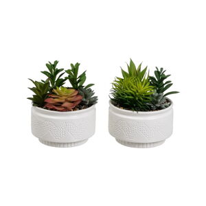 Umelé rastliny v súprave 2 ks (výška  19 cm) Cactus – Casa Selección