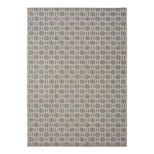 Sivý vonkajší koberec Universal Clhoe, 120 x 170 cm