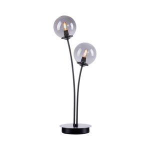 Paul Neuhaus Widow stolová LED lampa, 2-plameňová