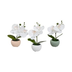 Umelé rastliny v súprave 3 ks (výška  15 cm) Orchid – Casa Selección