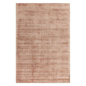 Oranžovo-hnedý koberec 290x200 cm Aston - Asiatic Carpets