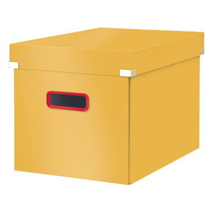 Oranžový kartónový úložný box s vekom Click&Store - Leitz