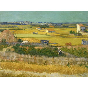 Obraz - reprodukcia 70x50 cm Vincent van Gogh, Harvest – Fedkolor