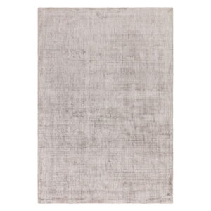 Sivý koberec 170x120 cm Aston - Asiatic Carpets