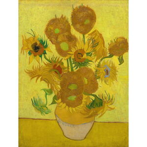 Obraz - 30x40 cm reprodukcia Sunflowers, Vincent van Gogh – Fedkolor