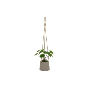 Umelá rastlina (výška  24 cm) Pilea – Casa Selección