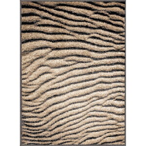 Hnedý koberec 80x120 cm Avanti – FD